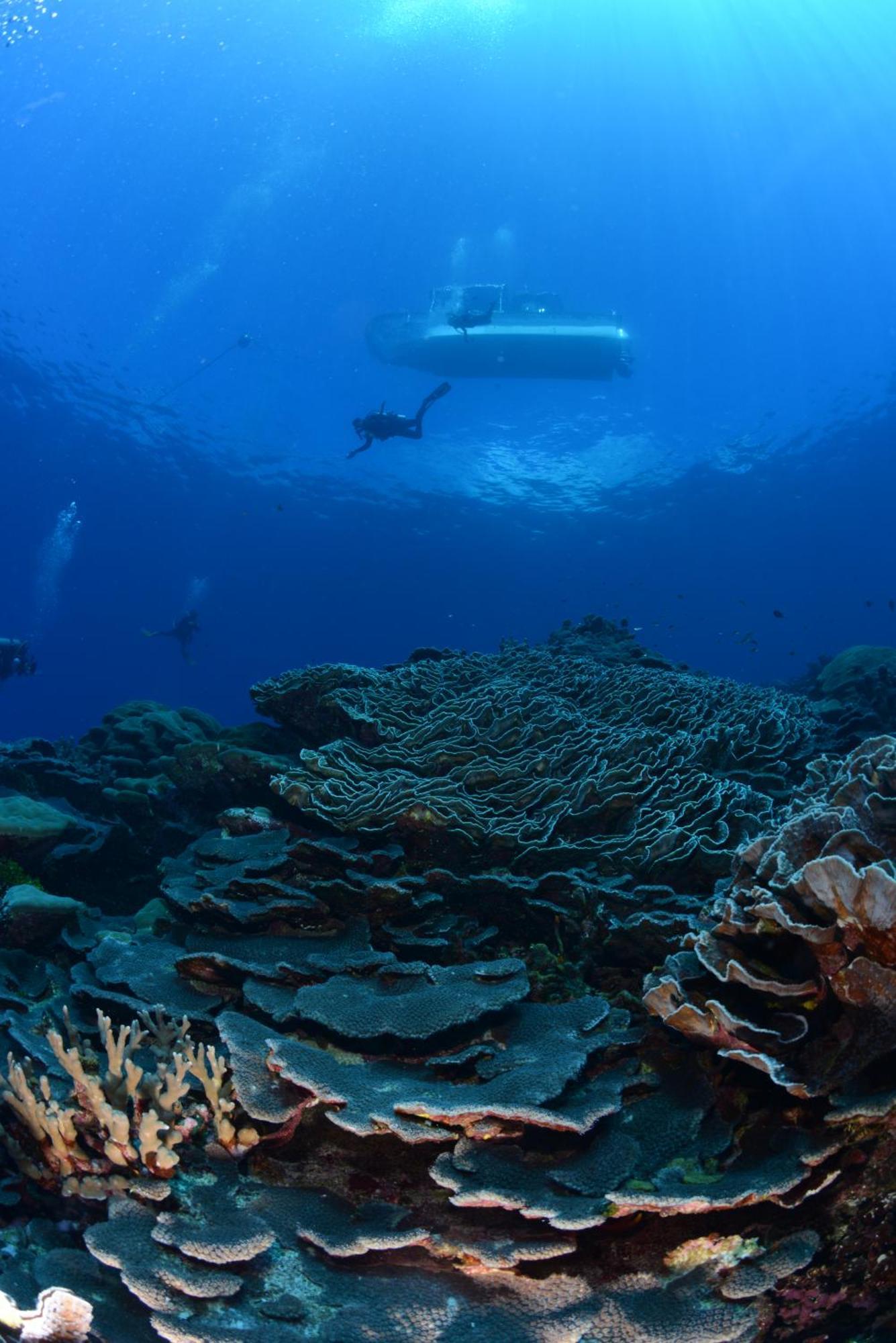 Island Hopper Hotel Yepan Buitenkant foto
